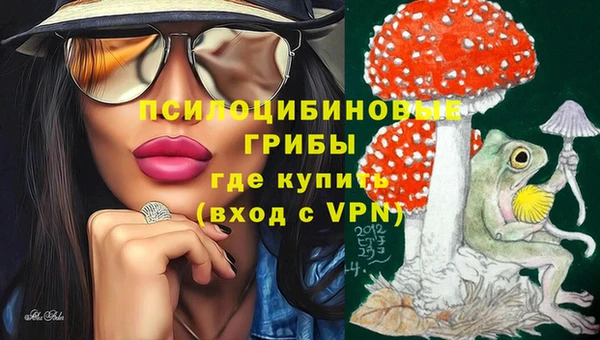 соль ск Армянск