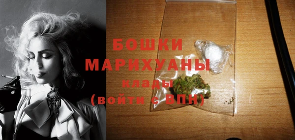 гашик Арсеньев
