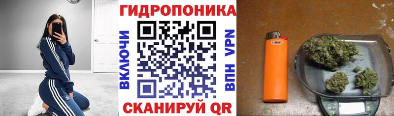 Каннабис планчик  гидра ссылка  Спасск-Рязанский 